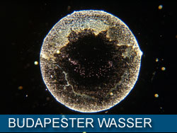 budapester_wasser_kl