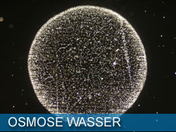 osmose-wasser