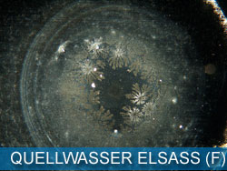 quellwasser_elsass